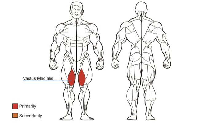 大腿內展荔枝视频APP黄片