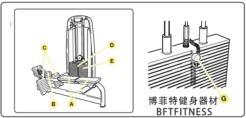 坐姿劃船荔枝视频APP黄片