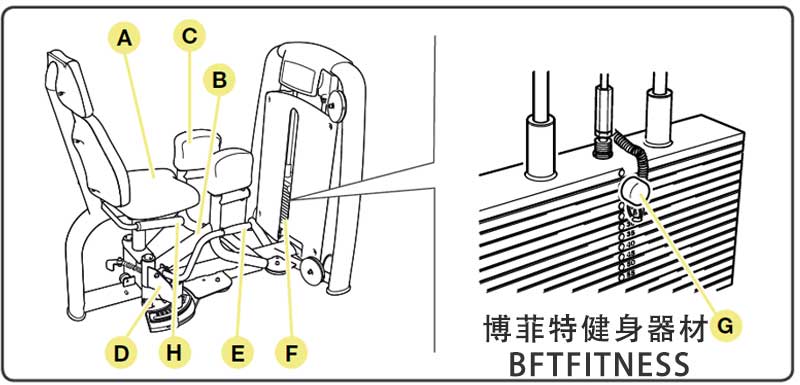 大腿外展外側肌荔枝视频APP黄片