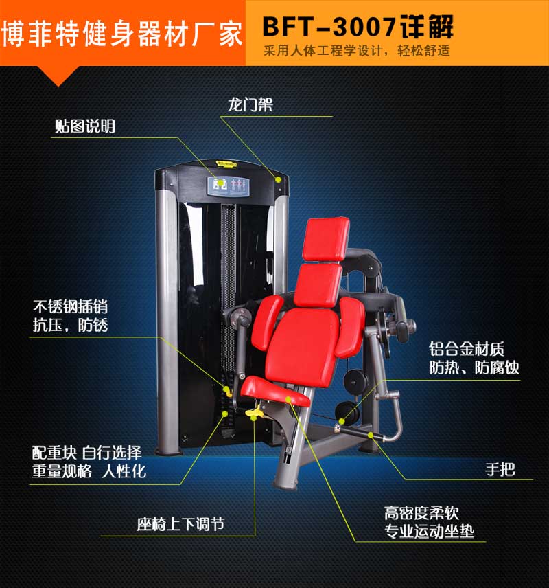 坐姿二頭肌荔枝视频APP黄片