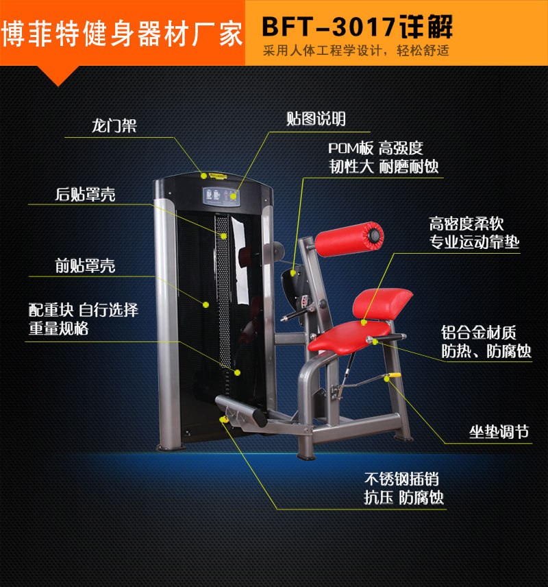 後背伸展荔枝视频APP黄片